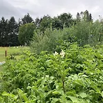 Oeko-fachwerkhaus Am Schwarzwald شقة *