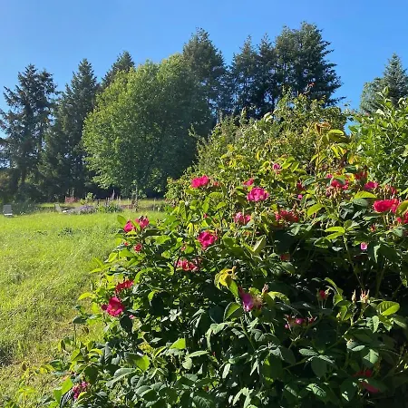 Oeko-fachwerkhaus Am Schwarzwald Lejlighed Remchingen