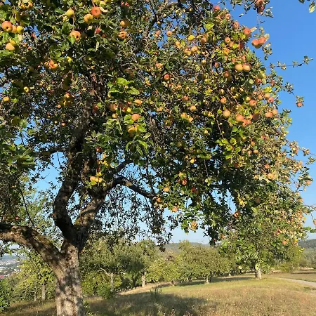 Lejlighed Oeko-fachwerkhaus Am Schwarzwald