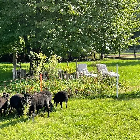Oeko-fachwerkhaus Am Schwarzwald Remchingen