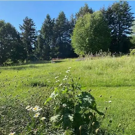 Oeko-fachwerkhaus Am Schwarzwald Lejlighed
