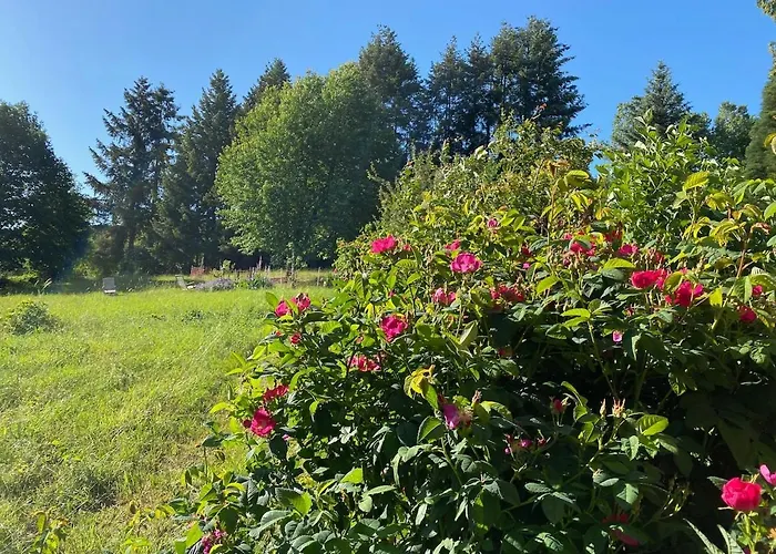 Oeko-fachwerkhaus Am Schwarzwald Lejlighed Remchingen
