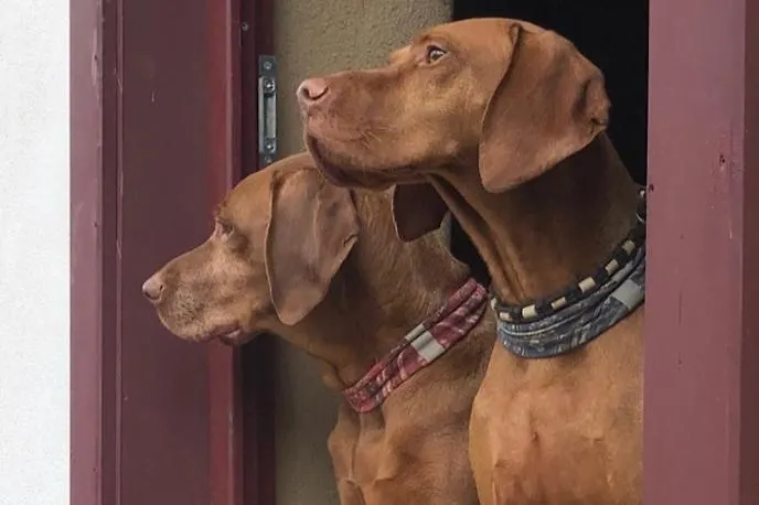 Oeko-fachwerkhaus Am Schwarzwald