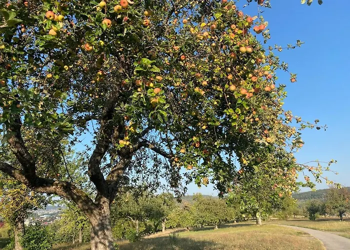 Lejlighed Oeko-fachwerkhaus Am Schwarzwald