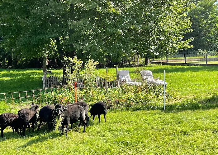 Oeko-fachwerkhaus Am Schwarzwald Remchingen