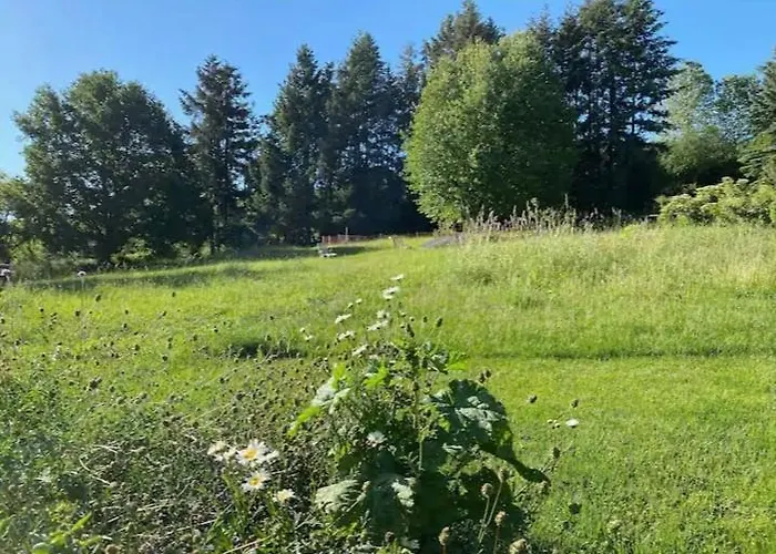 Oeko-fachwerkhaus Am Schwarzwald Lejlighed