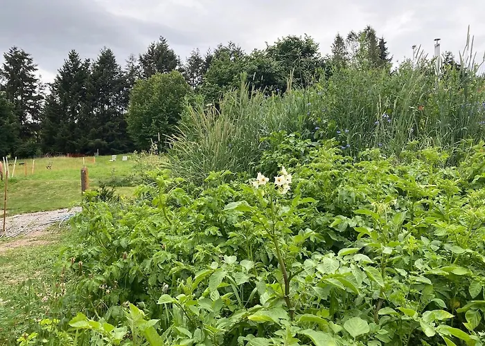 Oeko-fachwerkhaus Am Schwarzwald Lejlighed *